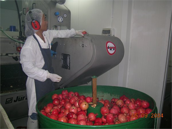 pomegranate  aril extracting machine - ArilSystemTM. 