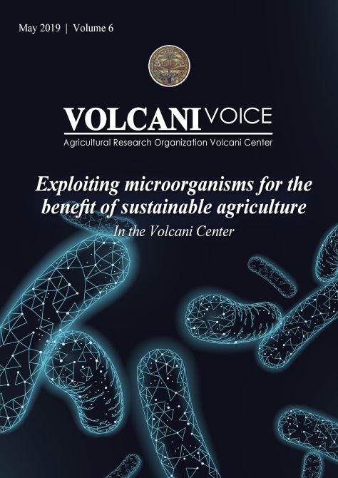 Volcani Voice Vol.6