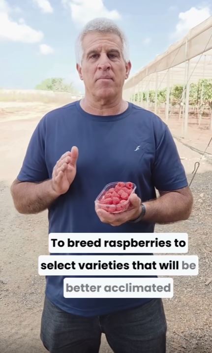 Dr. Nir Dai Explains about new raspberry varieties
