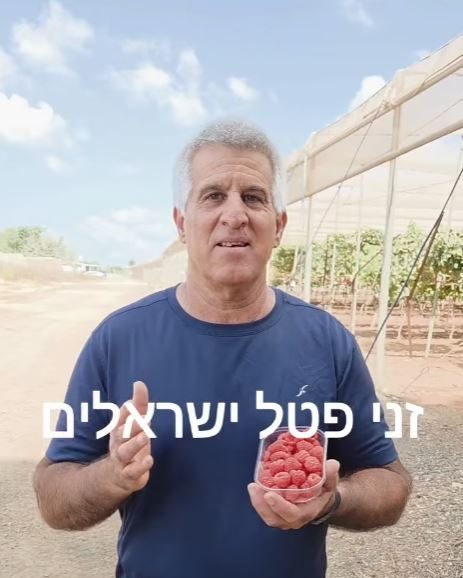זני פטל ישראליים