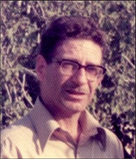 גד לובנשטיין