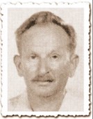 הנרי צבי גוט