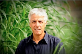 יורם קפולניק