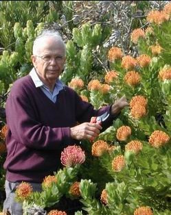 יעקב בן-יעקב