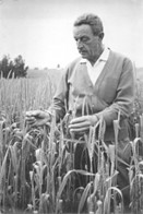 יעקב ברקוביץ'