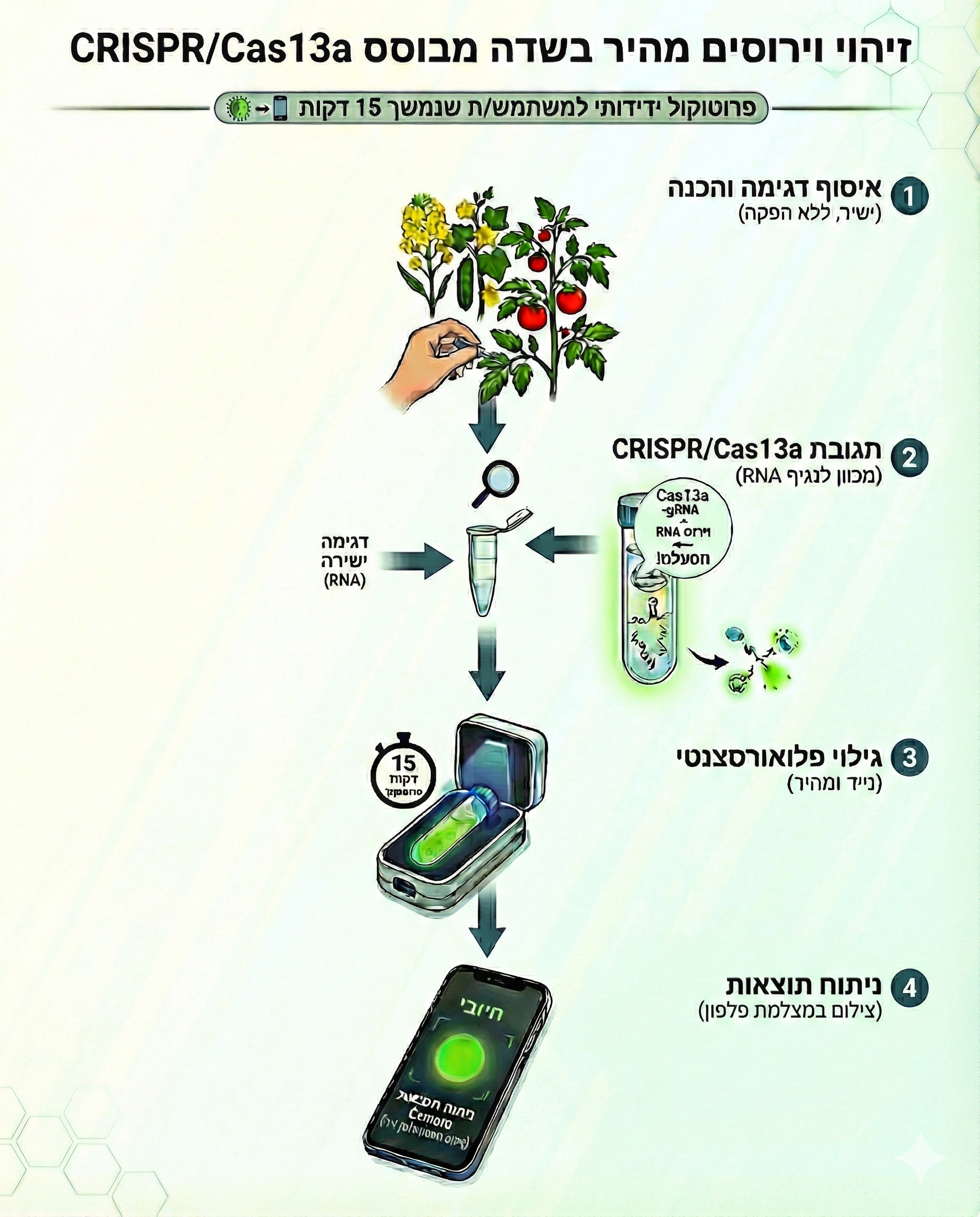 15 דקות, פלפון אחד וטכנולוגיה גנטית - מצילים את המלפפון, עגבנייה, לפת שלכם/ן מוירוסים!