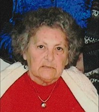 צפרירה ניצן