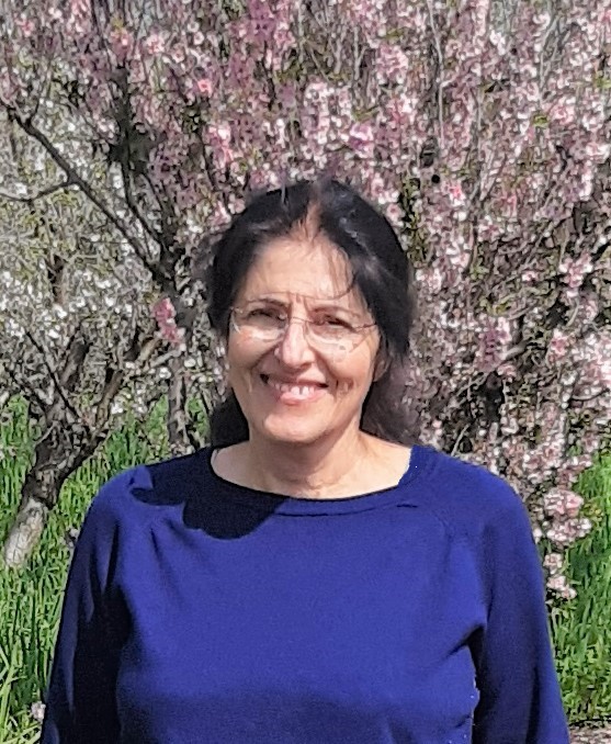 שלומית אושרי-מדינה