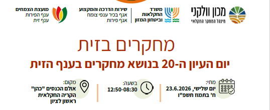 מחקרים בזית