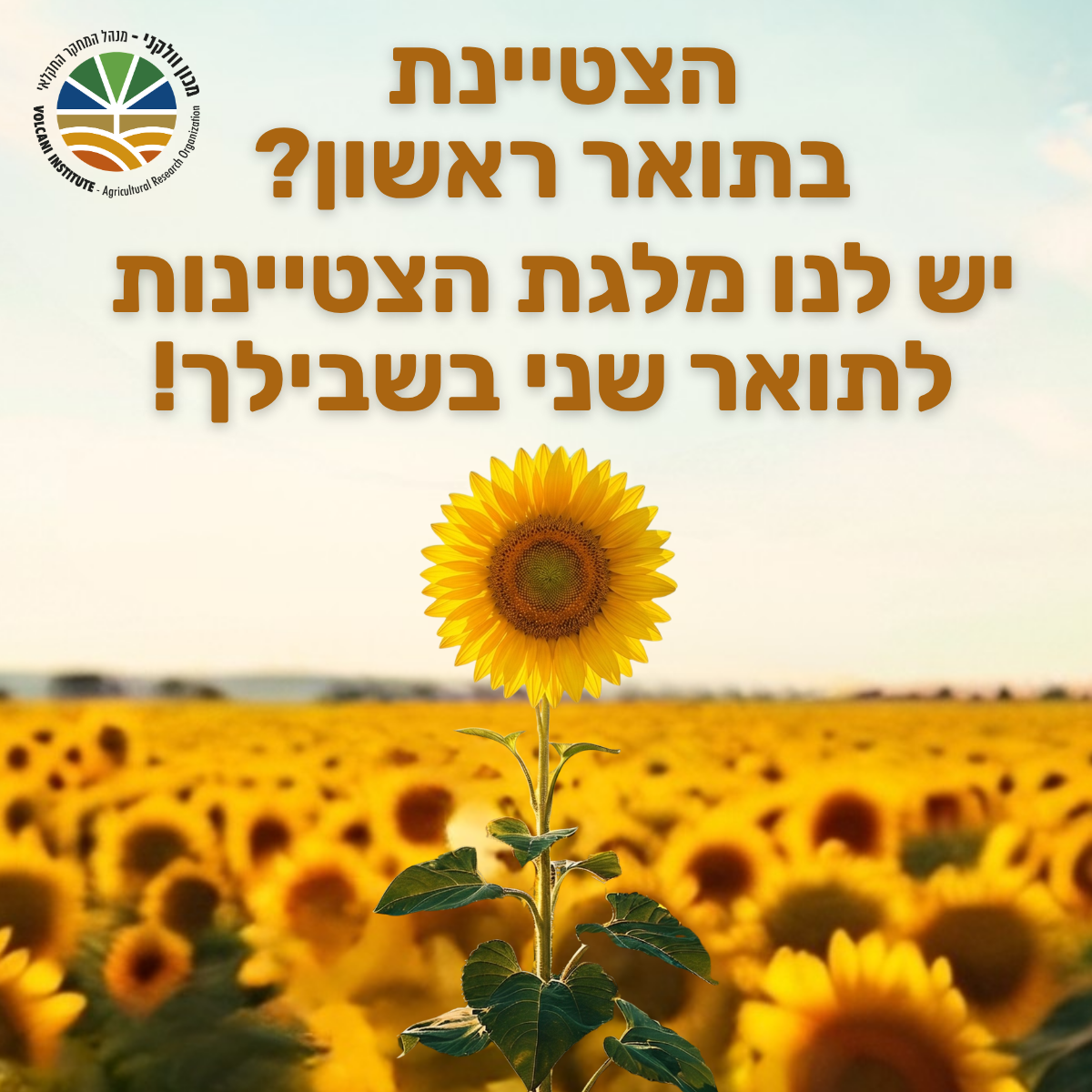 הצטיינת בתואר ראשון? יש לנו מלגת הצטיינות לתואר שני בשבילך!