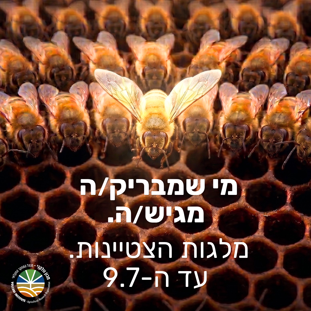 מלגות הצטיינות לתואר שני מי שמבריק/ה - מגיש/ה. מועד הגשה עד ה-9.7
