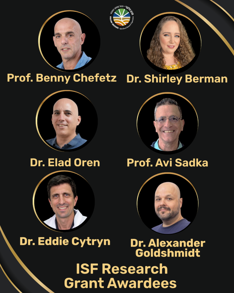Congratulations to the ISF research fund grant awardees! 