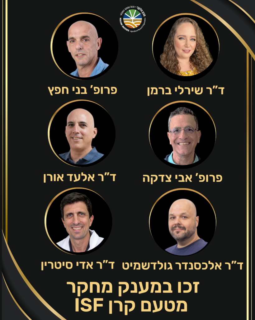 החוקרים/ות שזכו במענקי מחקר מטעם קרן ISF 