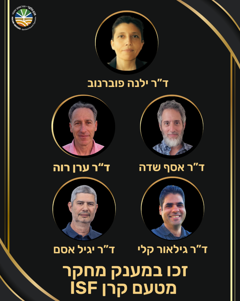 זוכים/ות במענק מחקר מטעם קרן ISF ד"ר אסף שדה, ד"ר ילנה פוברנוב, ד"ר יגיל אסם, ד"ר גילאור קלי, ד"ר ערן רוה 