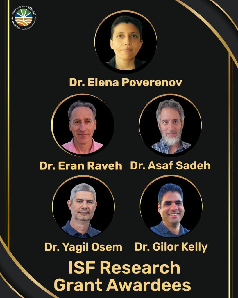 Congratulations to the ISF research fund grant awardees! 