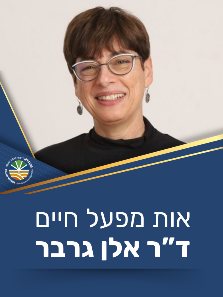 אות מפעל חיים יוענק לד"ר אלן גרבר 