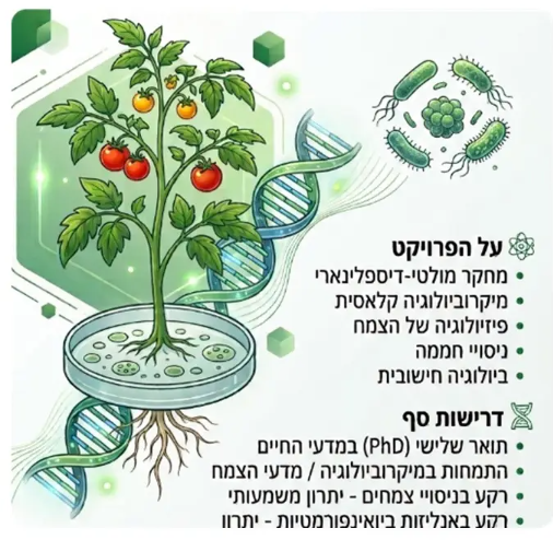 על הפרויקט ⚛️ מחקר מולטי-דיספלינארי מיקרוביולוגיה קלאסית פיזיולוגיה של הצמח ניסויי חממה ביולוגיה חישובית דרישות סף 🧬 תואר שלישי (PhD) במדעי החיים התמחות במיקרוביולוגיה / מדעי הצמח רקע בניסויי צמחים - יתרון משמעותי רקע באנליזות ביואינפורמטיות - יתרון