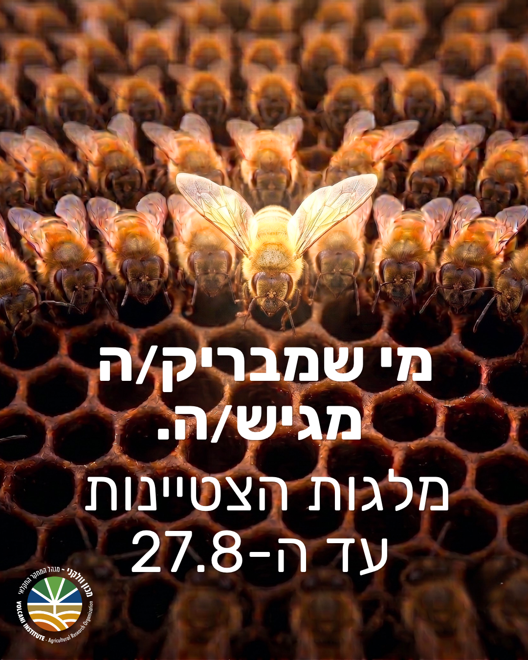 מי שמבריק/ה מגיש/ה. מלגות הצטיינות עד ה- 27.8