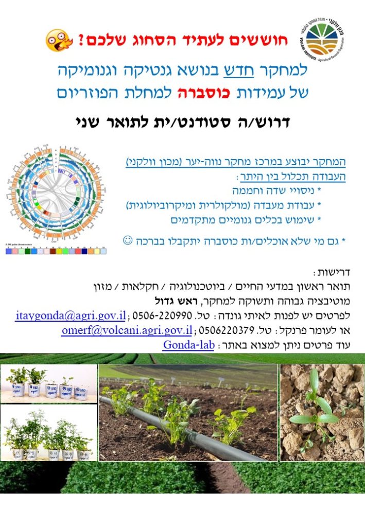 דרוש/ה סטודנט/ית לתואר שני למקר על עמידות כוסברה למחלת הפוזריום למעבדה במרכז מחקר נווה יער של ד"ר איתי גונדה